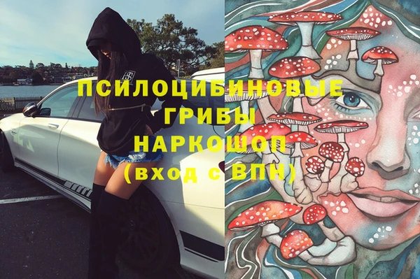 мдпв Волоколамск